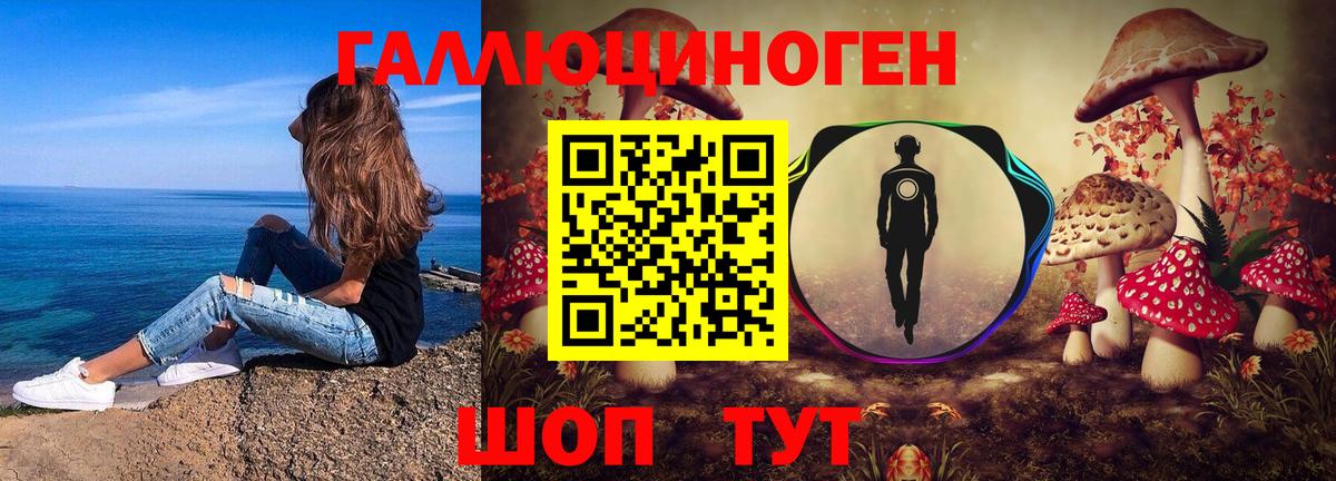 Шатура  Галлюциногенные грибы Psilocybine cubensis  Вход с VPN 