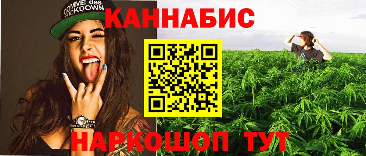 Каннабис планчик  Шишки марихуана VHQ  Шатура  Вход с VPN 